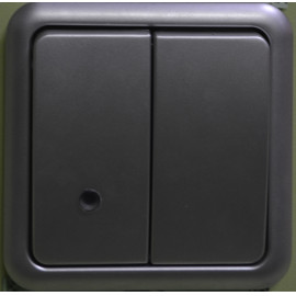 С1В28-004Механизм выключатателя  двухклавишного,10А,250V(зеленый индикатор),матовое серебро
