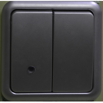 С1В28-004Механизм выключатателя  двухклавишного,10А,250V(зеленый индикатор),матовое серебро