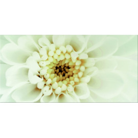 Пл.кер. Diago inserto flower B 29,7*60 декор